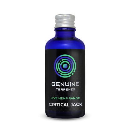 Critical Jack | Terpenes Flavour | From £12.34