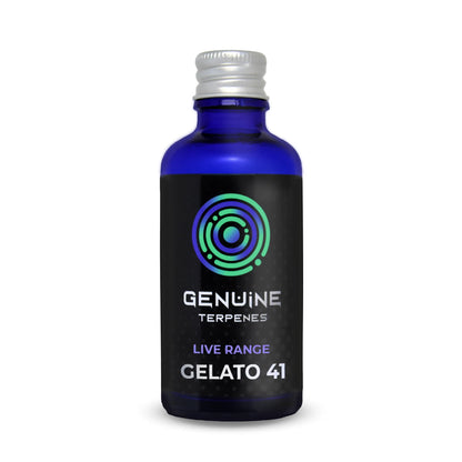 Gelato #41 | Terpenes Flavour | From £6.17